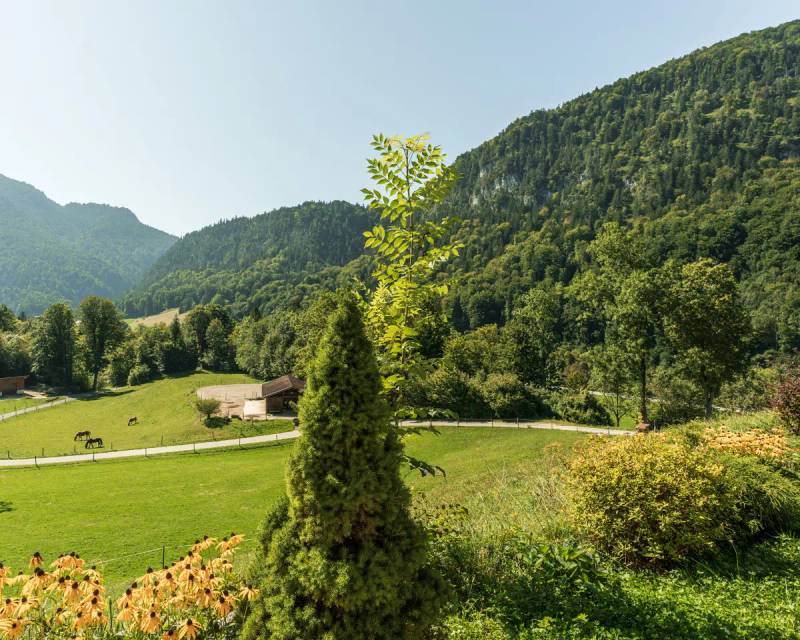 Chalet, fotka 6 z 7